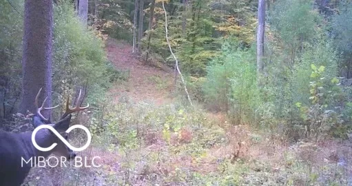 $1,100,000 | 0 Legendary Drive, Martinsville, IN 46151