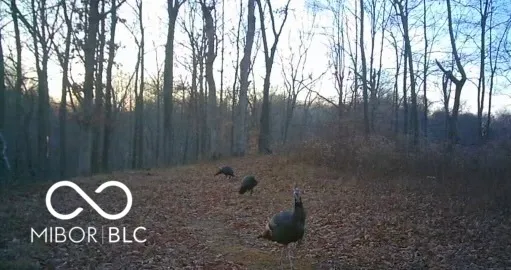 $1,100,000 | 0 Legendary Drive, Martinsville, IN 46151