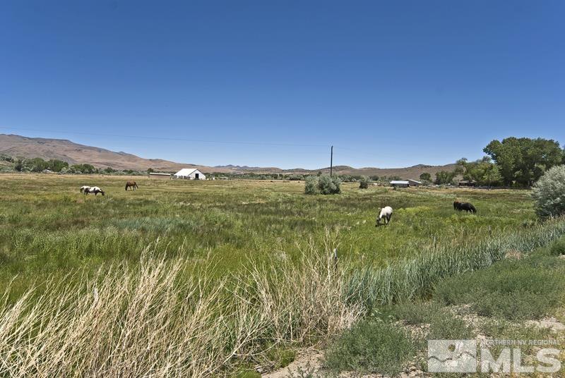 4407 Hells Bells Road Carson City, NV 89701 - Photo 29 of 34 Photo 29