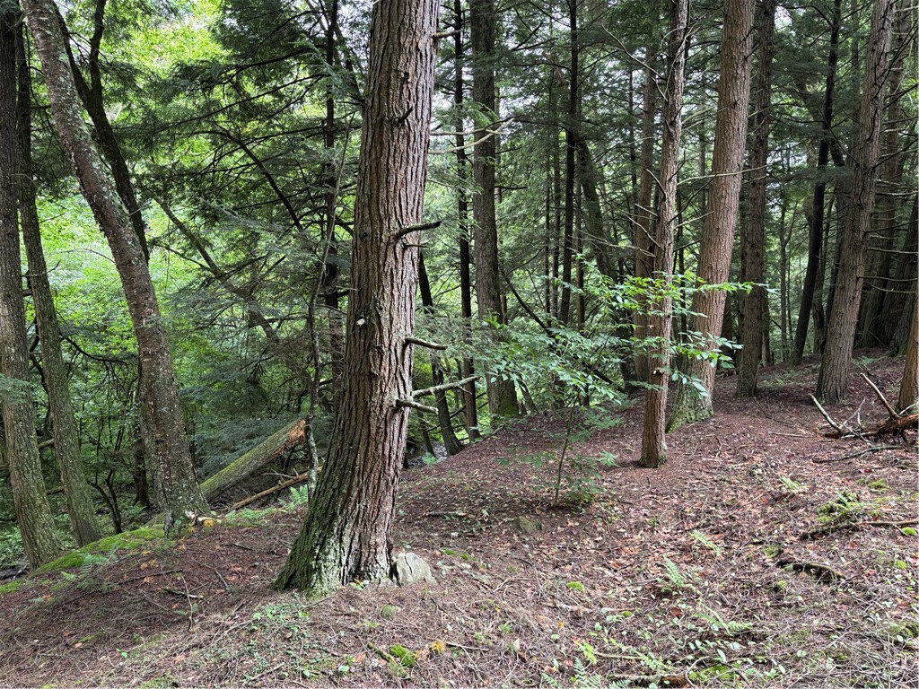 Stage Road South Otselic, NY 13155 - Photo 16 of 29