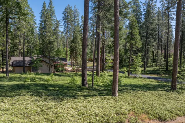 a view of a house in the forest