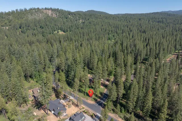 a view of a city with lush green forest