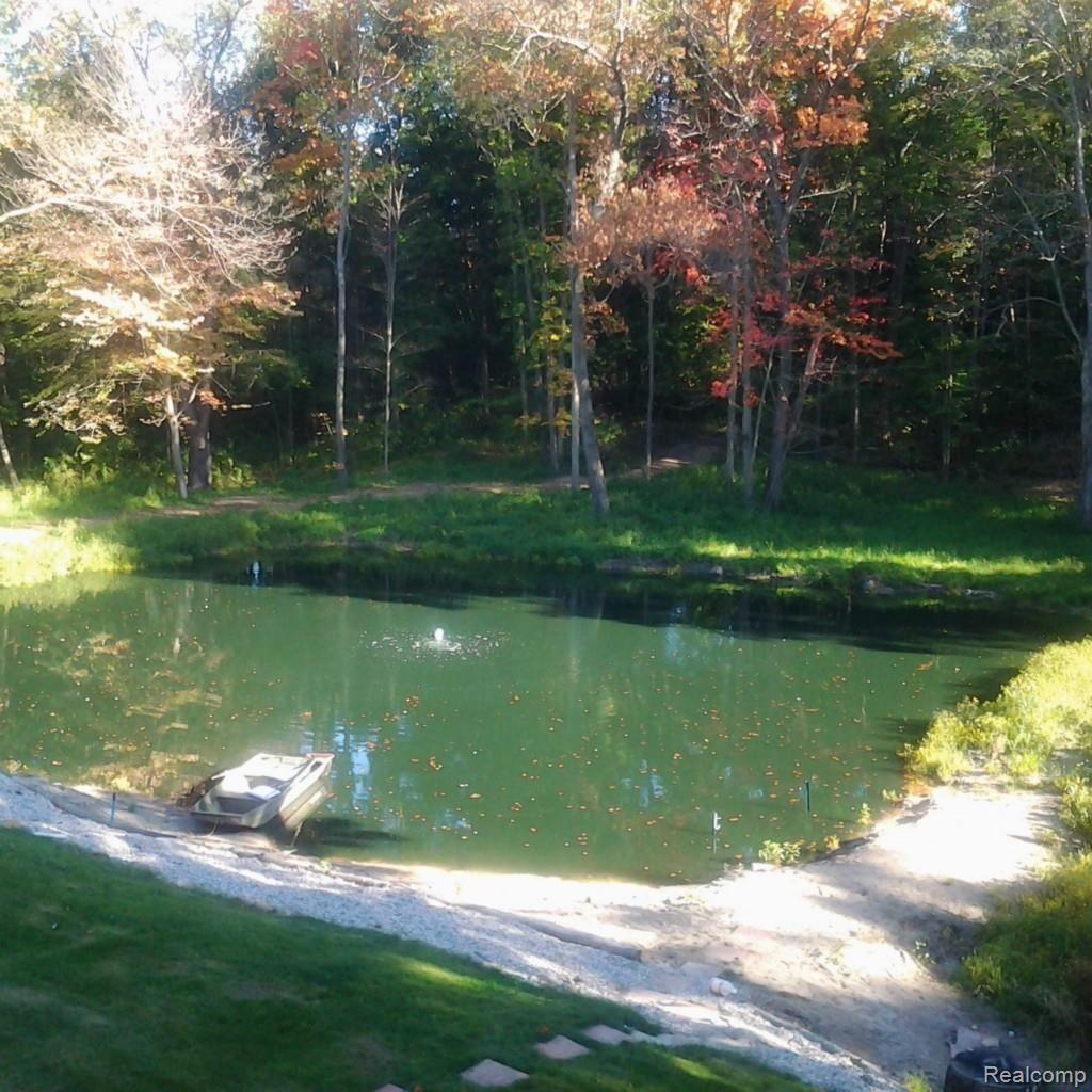 7624 Little Ridge Drive Pinckney, MI 48169 - Photo 22 of 29 21 POND 2.jpg