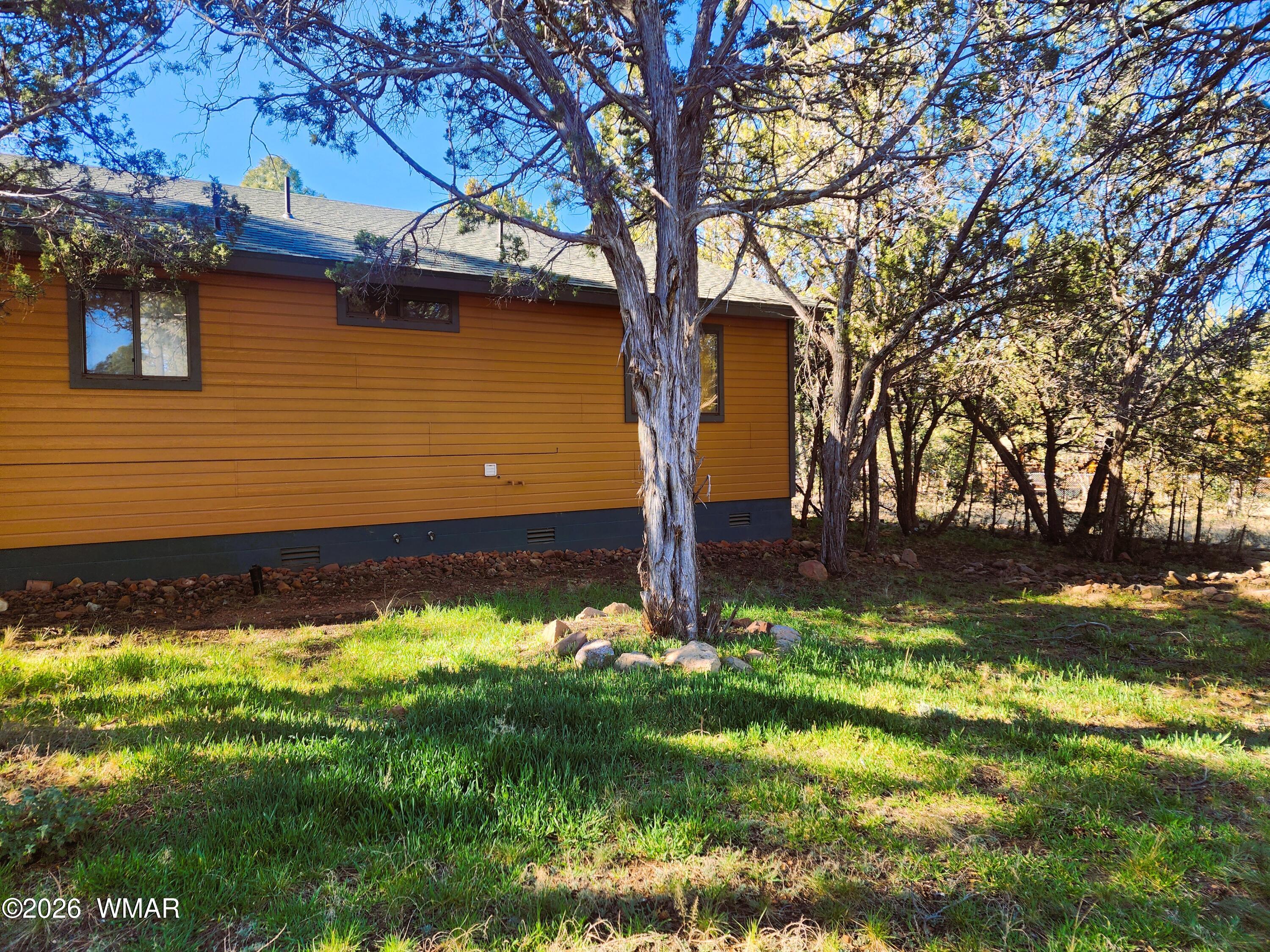 2086 Pinewood Drive Overgaard, AZ 85933 - Photo 10 of 39 Great shade trees throughout property
