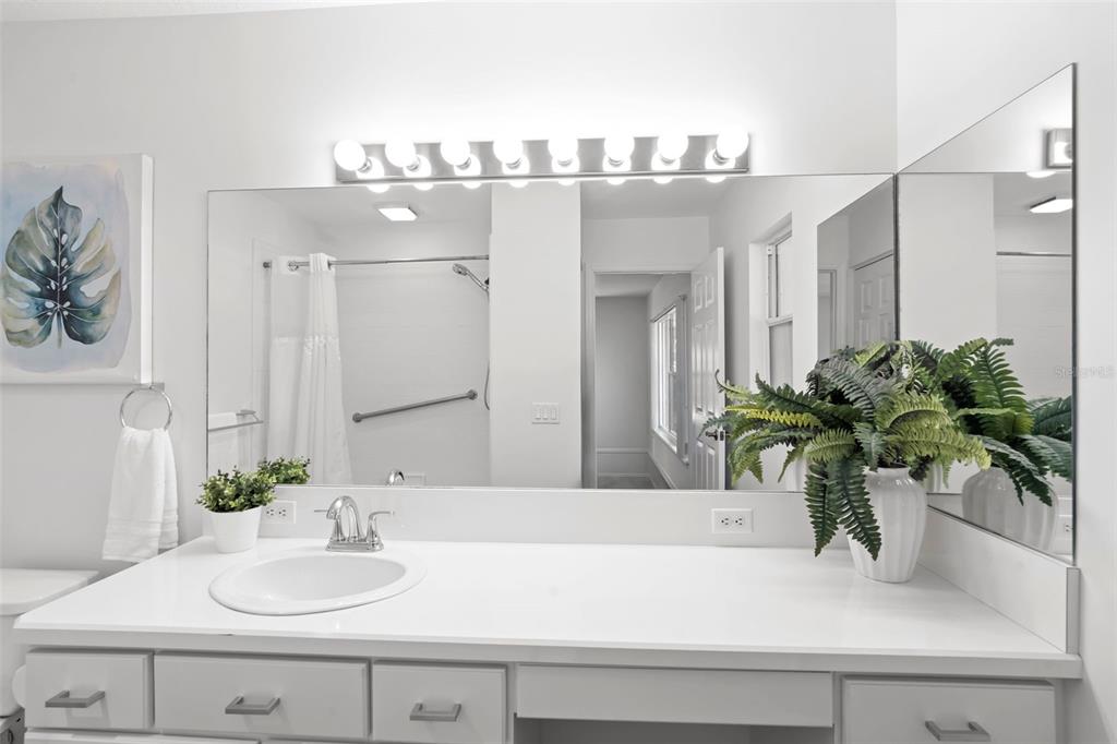 2053 Bond Road DeLand, FL 32720 - Photo 28 of 51 a bathroom with a sink a mirror and a potted plant