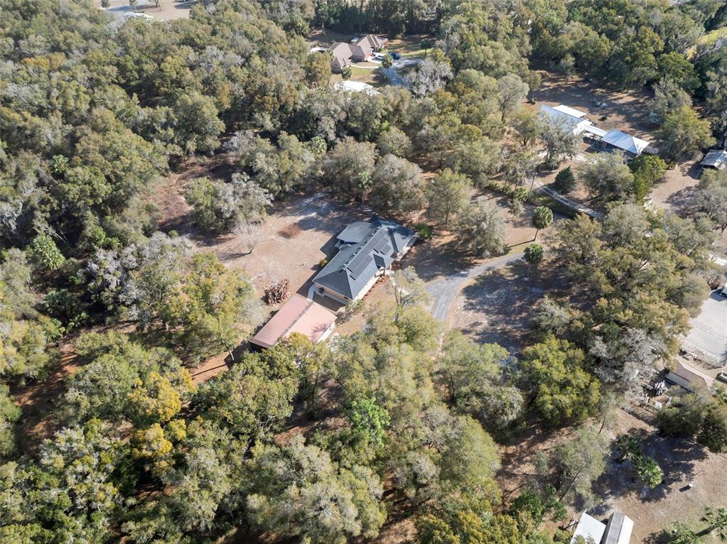 2053 Bond Road DeLand, FL 32720 - Photo 42 of 51 view of a forest with a tree
