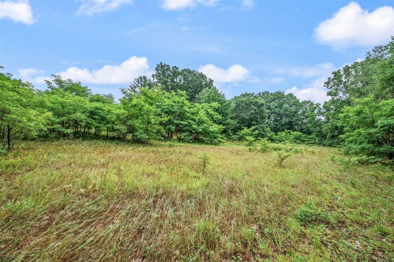 10055 8 Mile Road Evart, MI 49631 - Photo 26 of 30 Gallery Image 26