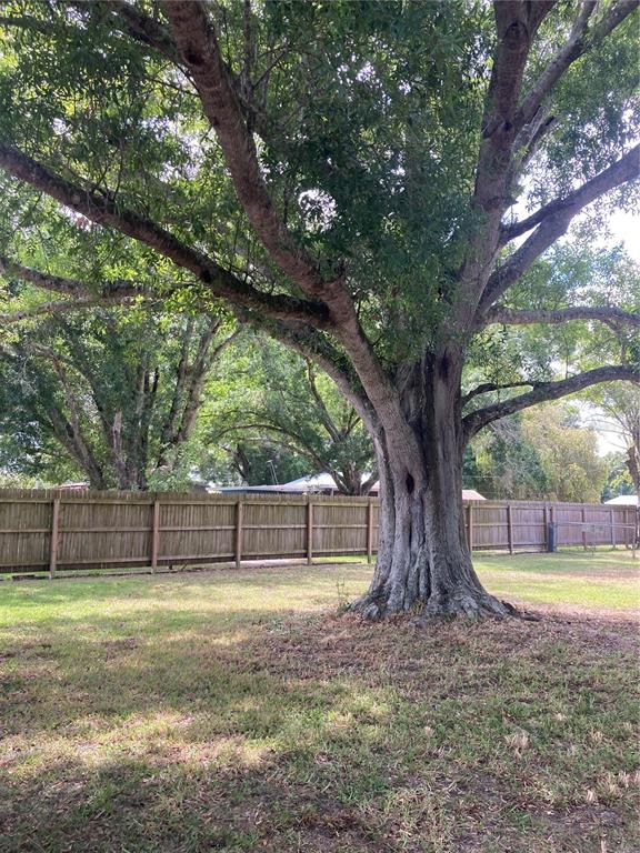 1214 Alligator Road Moore Haven, FL 33471 - Photo 3 of 4 a view of a yard with a tree