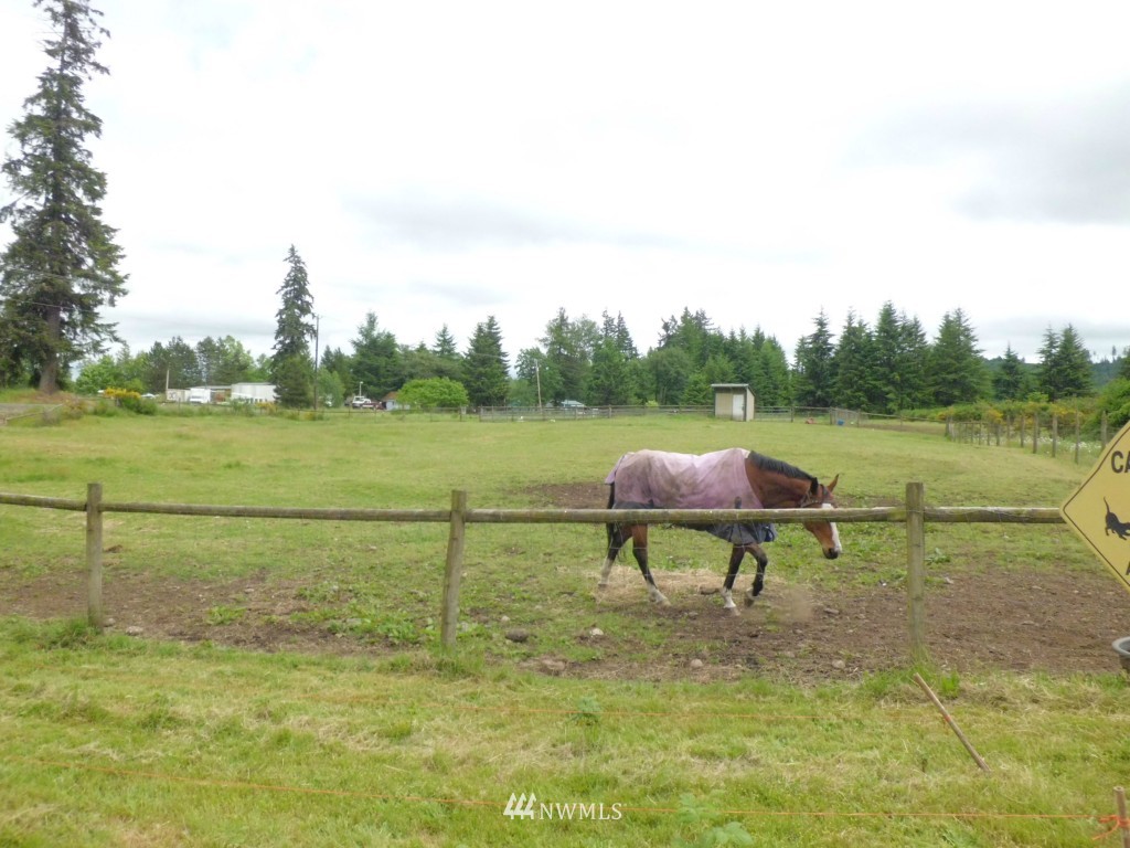 2062 South Bank Road Oakville, WA 98568 - Photo 25 of 25