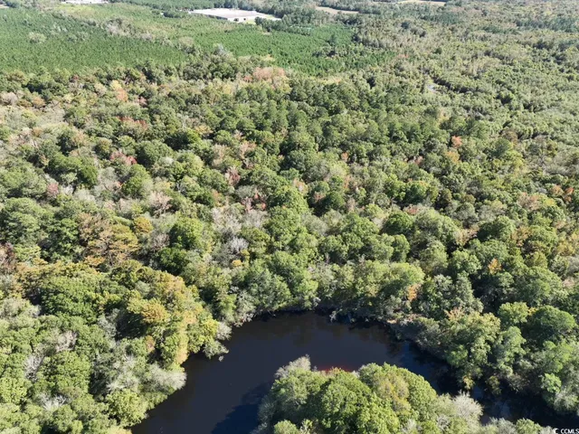 $810,750 | Martin Luther King Jr Highway, Kingstree, SC 29556