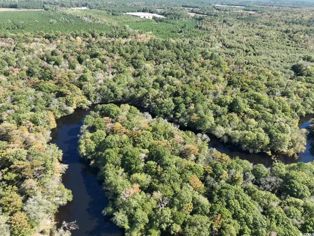 $810,750 | Martin Luther King Jr Highway, Kingstree, SC 29556