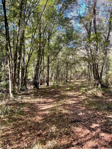 $810,750 | Martin Luther King Jr Highway, Kingstree, SC 29556