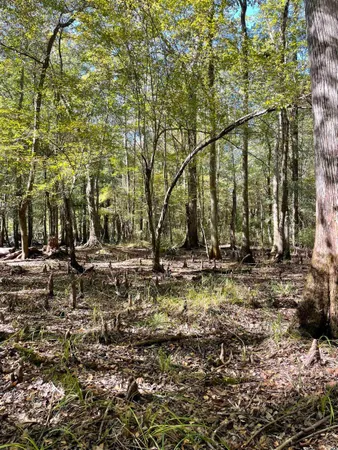 $733,200 | Martin Luther King Jr Highway, Kingstree, SC 29556