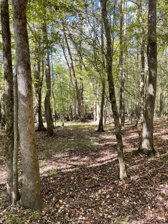 $733,200 | Martin Luther King Jr Highway, Kingstree, SC 29556