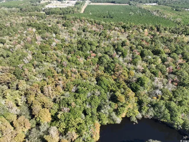 $810,750 | Martin Luther King Jr Highway, Kingstree, SC 29556