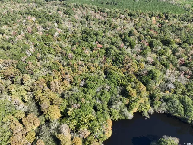 $810,750 | Martin Luther King Jr Highway, Kingstree, SC 29556