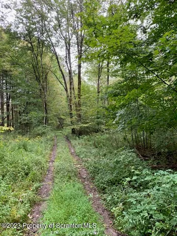 a big yard with lots of green space and deers