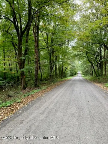 a view of a field with trees in front of it