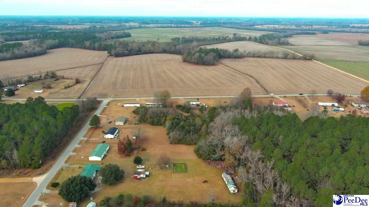 Kentyre Road Hamer, SC 29547 - Photo 18 of 24 Gallery Image 18