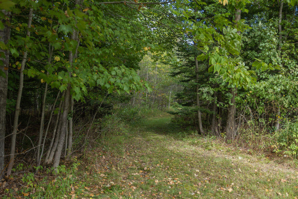 751 Holley Road Farmington, ME 04938 - Photo 89 of 102 taylor-kaminsky-photo-48