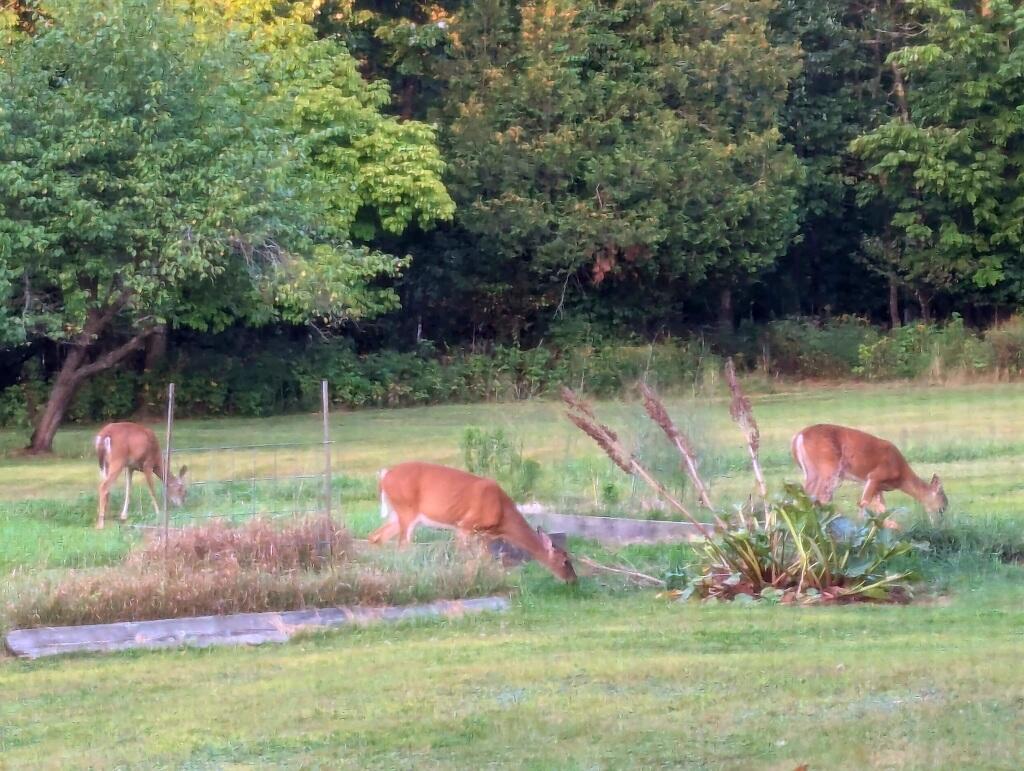 751 Holley Road Farmington, ME 04938 - Photo 98 of 102 IMG_20250827_201525