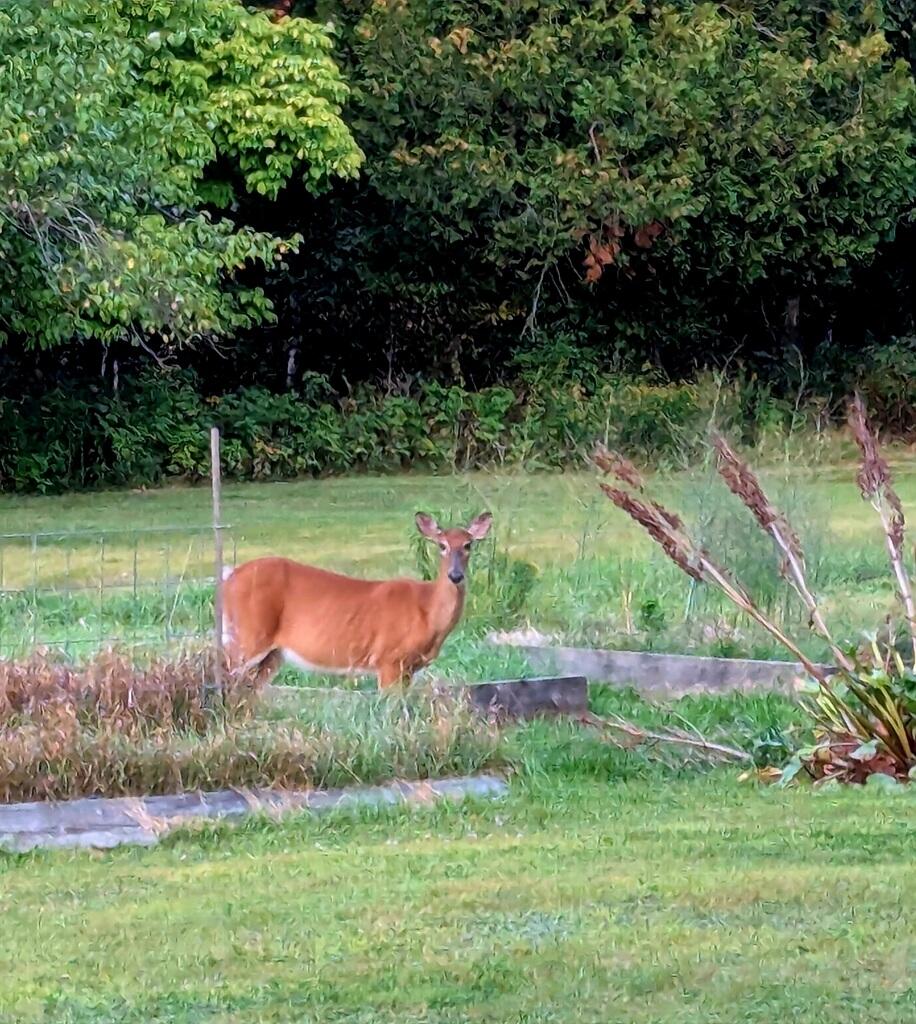 751 Holley Road Farmington, ME 04938 - Photo 99 of 102 IMG_20250827_201540