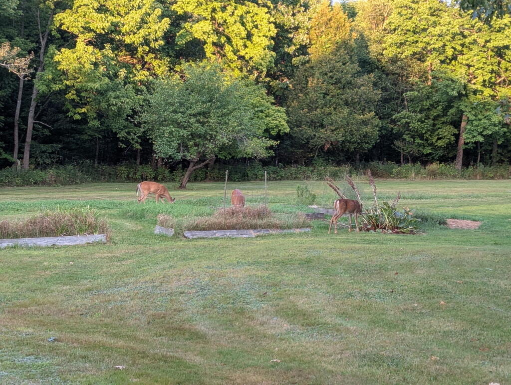 751 Holley Road Farmington, ME 04938 - Photo 100 of 102 IMG_20250827_201648