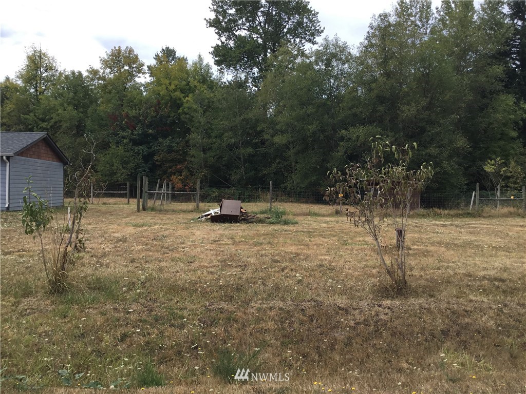 11221 180th Lane Southwest Rochester, WA 98579 - Photo 24 of 24 a ground with lots of tall trees