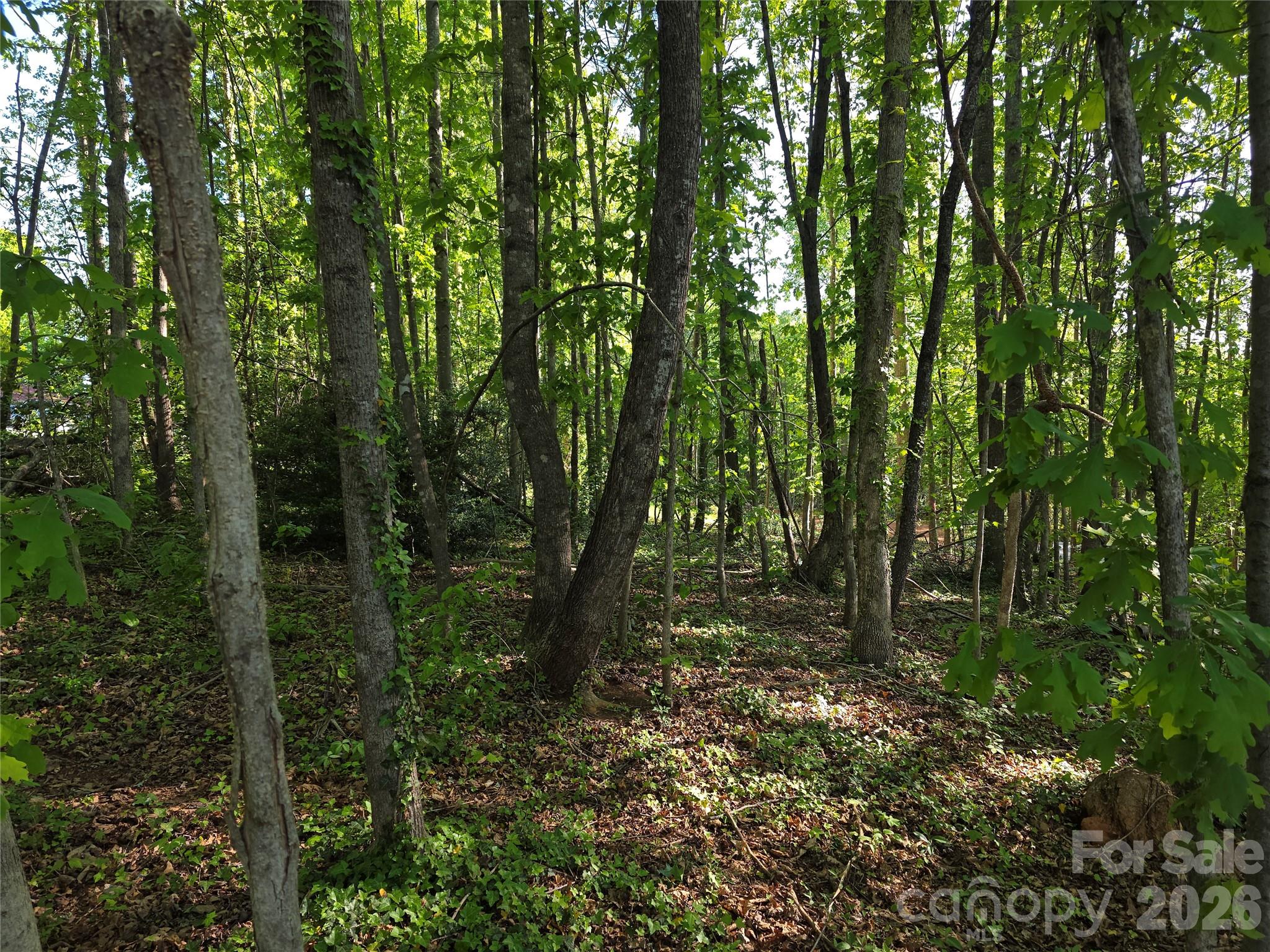 55 Cypress Road Marion, NC 28752 - Photo 36 of 38