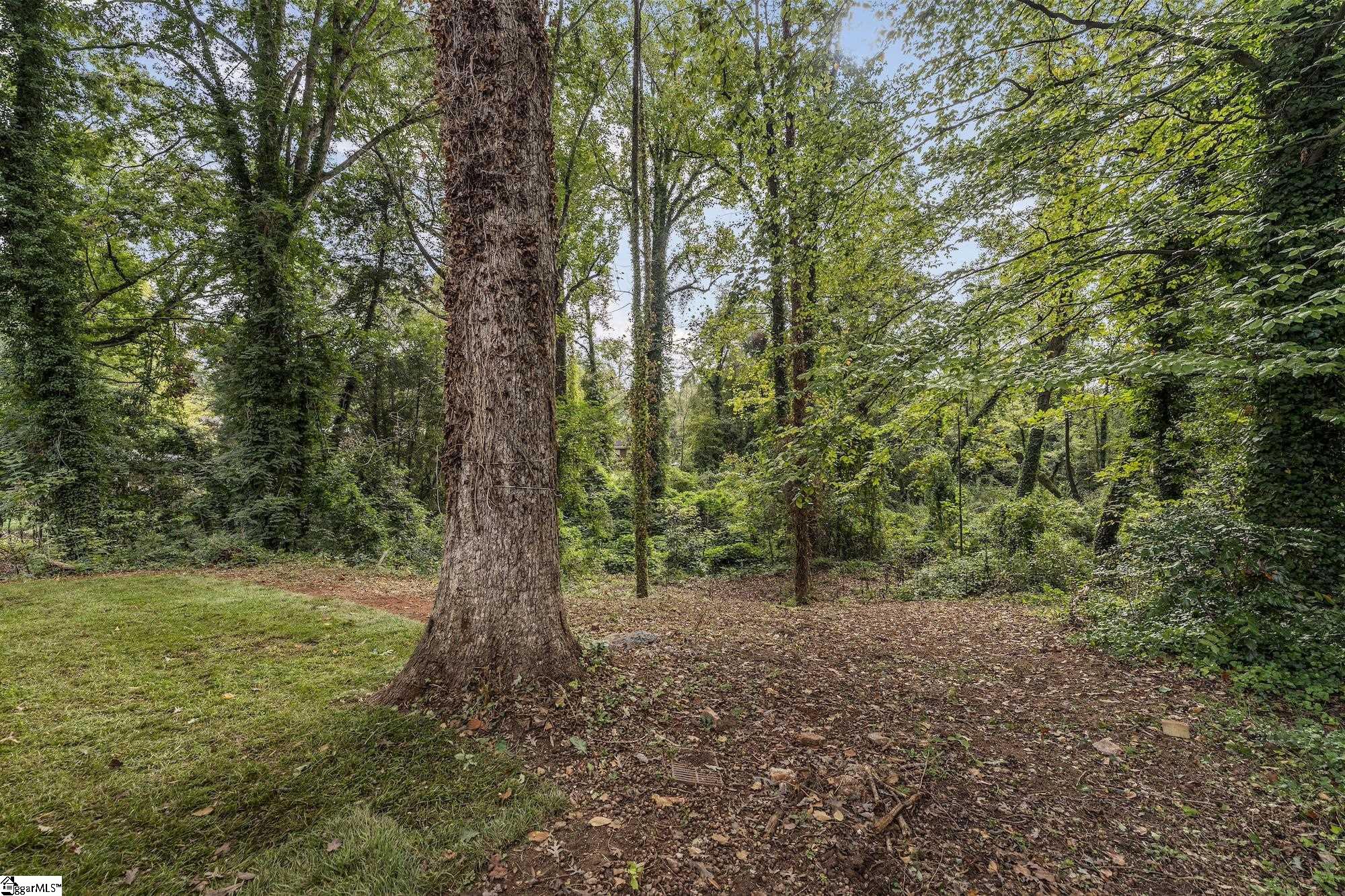 320 Elder Street, Unit EXT Greenville, SC 29607 - Photo 46 of 50