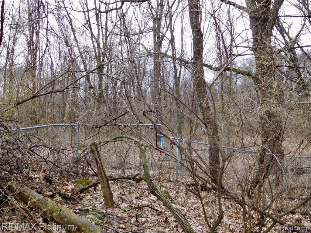 0 West Buno Road Milford, MI 48381 - Photo 12 of 28