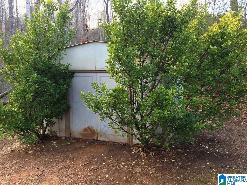 1540 Mountain Top Loop Road Pell City, AL 35128 - Photo 12 of 13