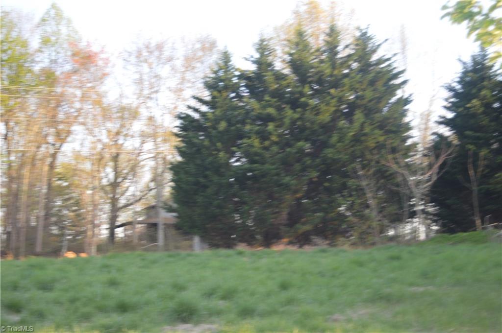 1145 Noel Martin Road Sandy Ridge, NC 27046 - Photo 5 of 9 Gallery Image 5