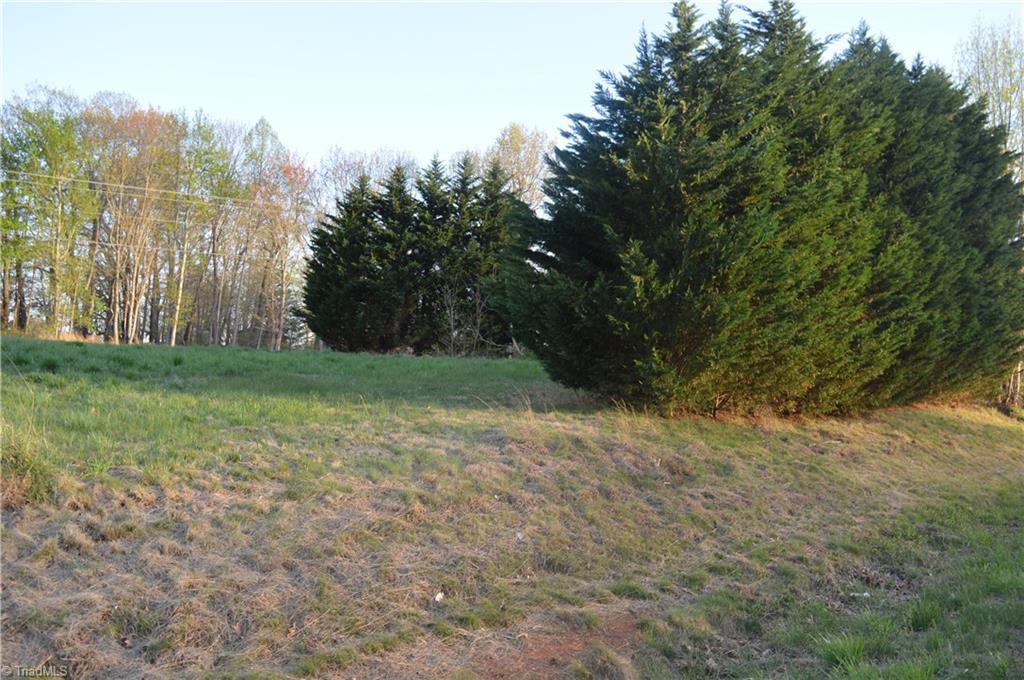1145 Noel Martin Road Sandy Ridge, NC 27046 - Photo 8 of 9 Gallery Image 8