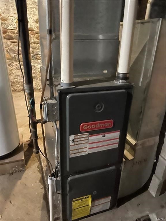 113 Water Street Lyons, NY 14489 - Photo 9 of 10