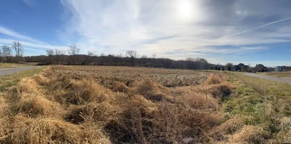 a view of an lake and mountain