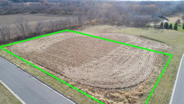 a green field with some trees in the background