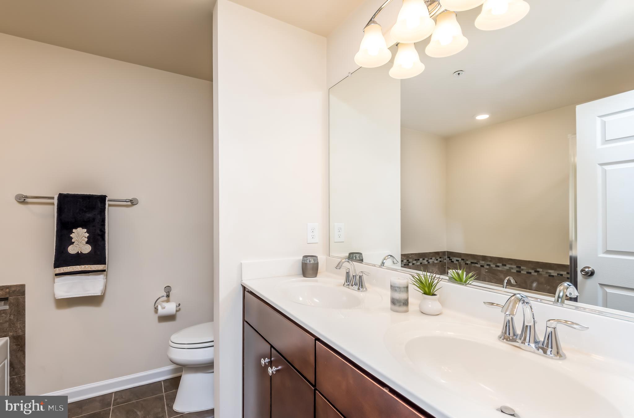 43503 Town Gate Square Chantilly, VA 20152 - Photo 16 of 25 Master Bath