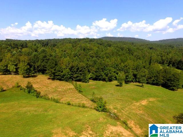 2265 State Lake Road Lineville, AL 36266 - Photo 5 of 39