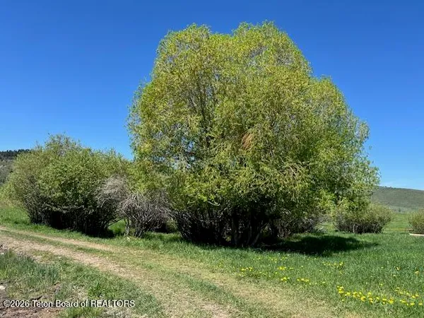 $1,080,250 | 5001 Fairview Spg Crk Road, Fairview, WY 83119