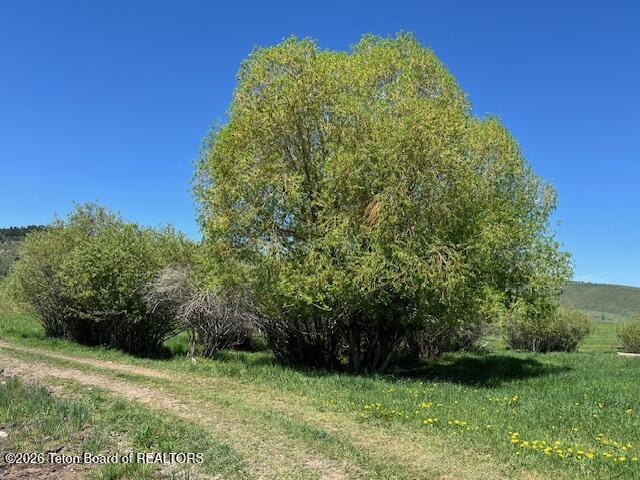 5001 Fairview Spg Crk Road Fairview, WY 83119 - Photo 4 of 19 IMG_4028
