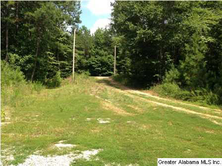 New Harmony Road, Unit 2 Lineville, AL 36266 - Photo 16 of 16