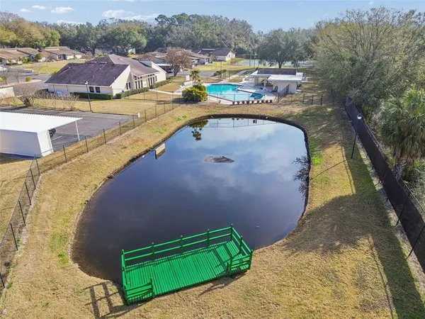 a view of a swimming pool with a patio and a yard