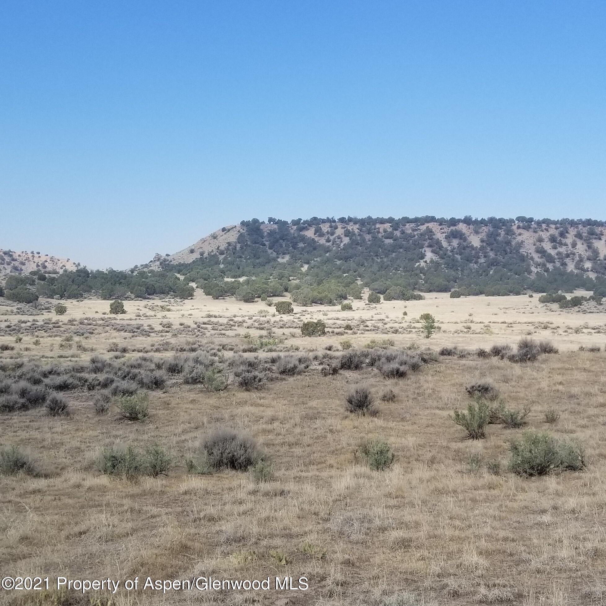 4 Scutter Lane Rifle, CO 81650 - Photo 8 of 9