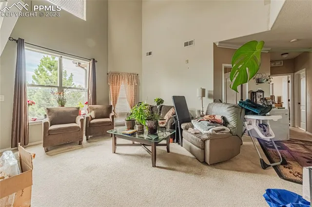 a living room with furniture rug and a window