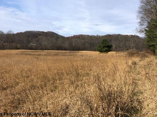 Tbd Gilman Road Elkins, WV 26241 - Photo 8 of 16 Gallery Image 8