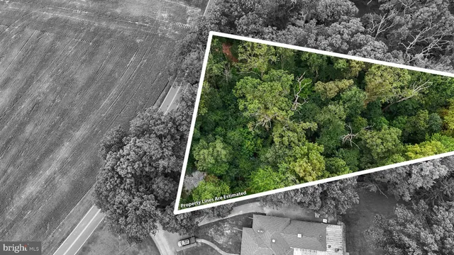 a view of yard from a balcony