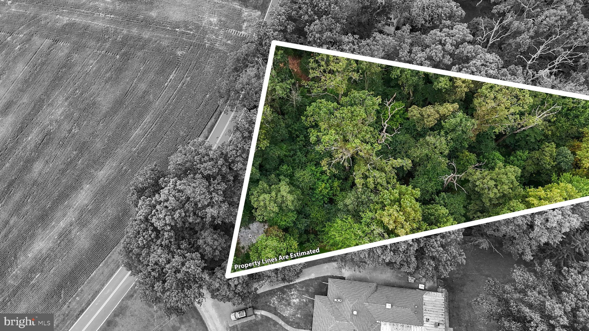 Dennings Road New Windsor, MD 21776 - Photo 11 of 19 a view of a forest from a balcony