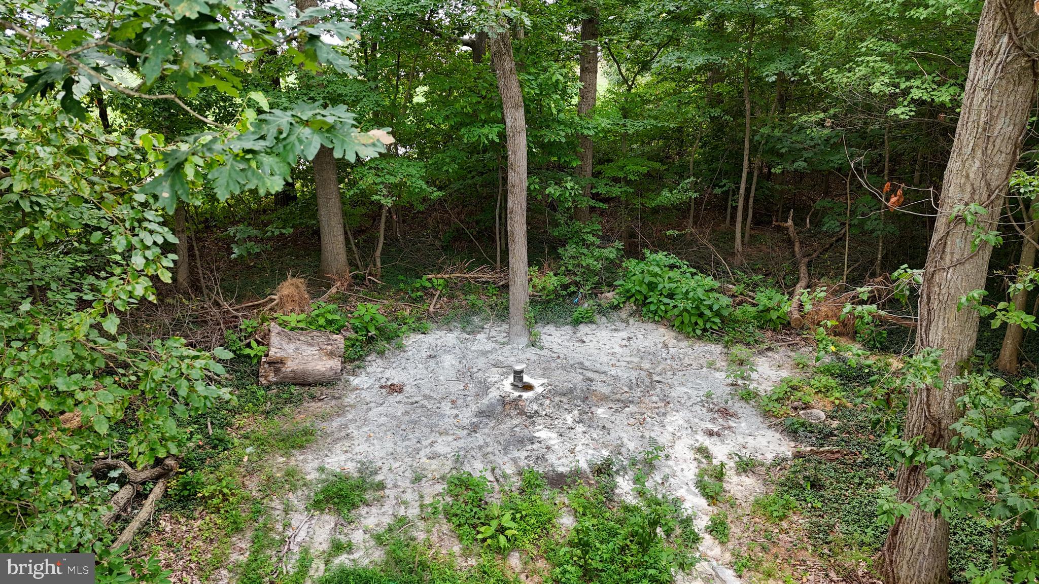 Dennings Road New Windsor, MD 21776 - Photo 15 of 19 a view of forest