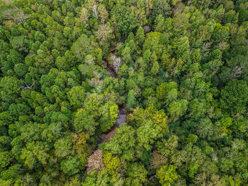 2.09-ac Old Northcutt Road Ellijay, GA 30540 - Photo 8 of 9